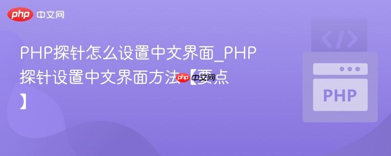 PHP探针怎么设置中文界面_PHP探针设置中文界面方法【要点】  第1张