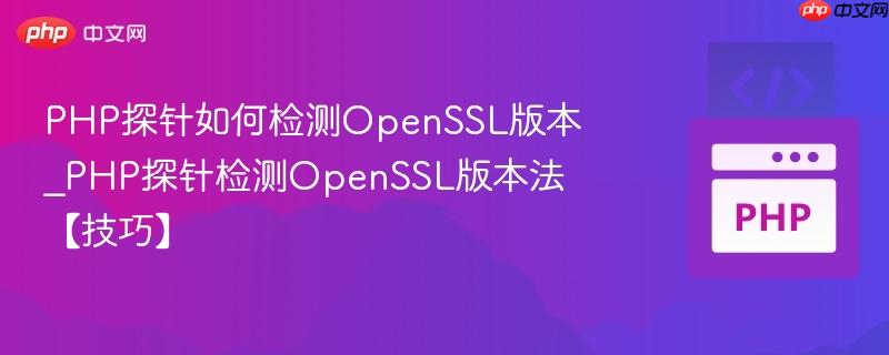 PHP探针如何检测OpenSSL版本_PHP探针检测OpenSSL版本法【技巧】  第1张
