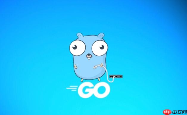 Go测试中如何避免竞态条件_Go race检测说明  第1张