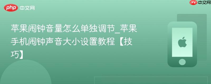 苹果闹钟音量怎么单独调节_苹果手机闹钟声音大小设置教程【技巧】 第1张 苹果闹钟音量怎么单独调节_苹果手机闹钟声音大小设置教程【技巧】 第1张