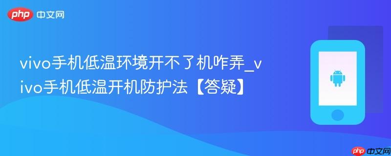 vivo手机低温环境开不了机咋弄_vivo手机低温开机防护法【答疑】  第1张