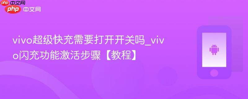 vivo超级快充需要打开开关吗_vivo闪充功能激活步骤【教程】  第1张