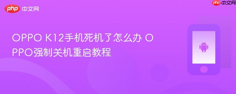 OPPO K12手机死机了怎么办 OPPO强制关机重启教程  第1张