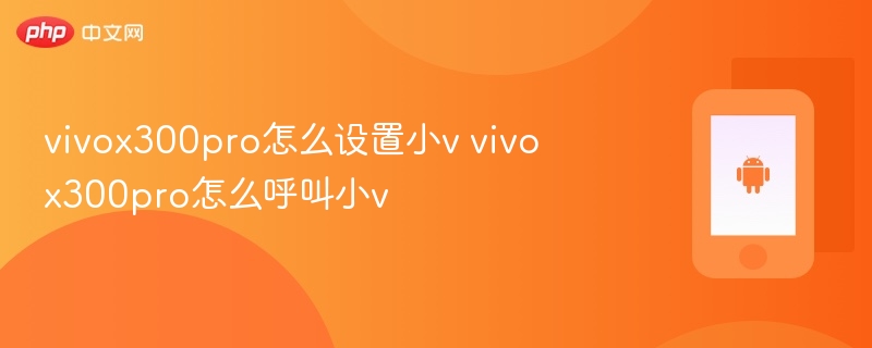 vivox300pro怎么设置小v vivox300pro怎么呼叫小v【方法】  第1张