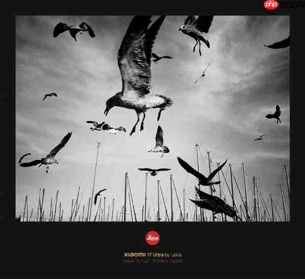 不是简单滤镜！小米揭秘徕卡一瞬如何实现：端侧模型+胶片建模  第7张