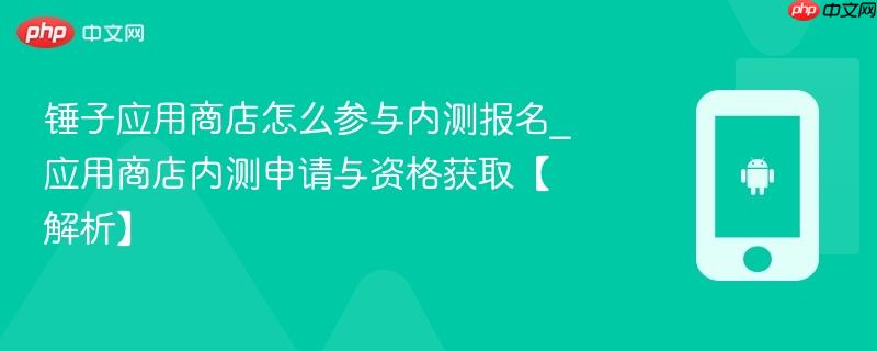 锤子应用商店怎么参与内测报名_应用商店内测申请与资格获取【解析】  第1张