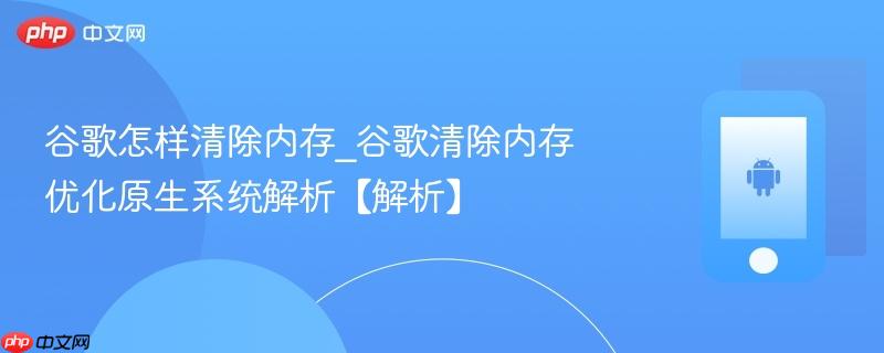 谷歌怎样清除内存_谷歌清除内存优化原生系统解析【解析】  第1张
