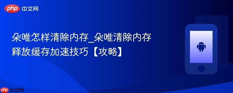朵唯怎样清除内存_朵唯清除内存释放缓存加速技巧【攻略】  第1张