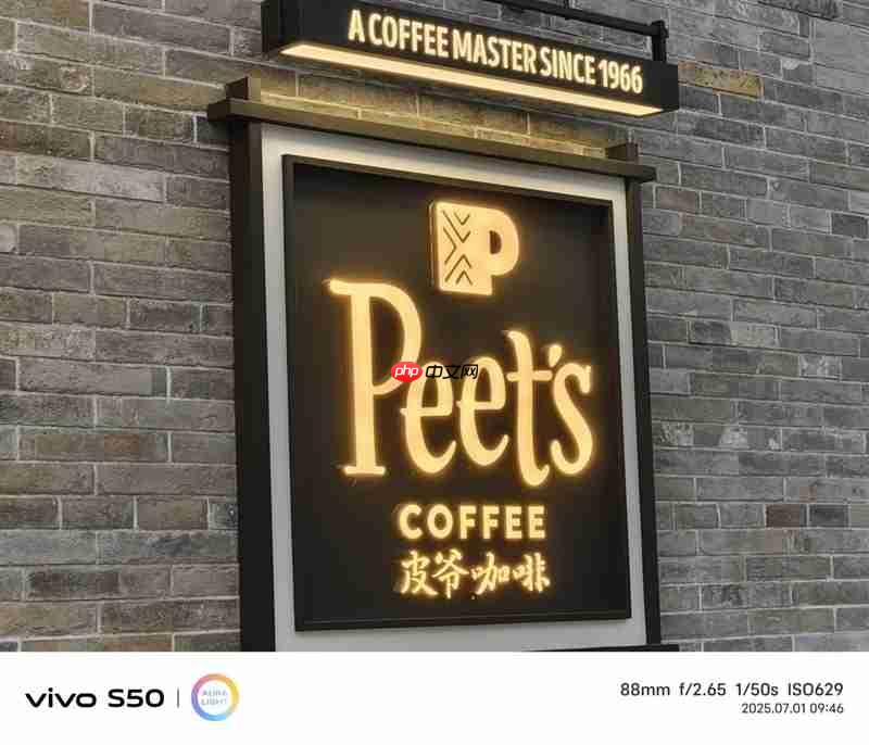 无感握持、出片惊艳！vivo S50首发全面评测：颜值与实力并存的全能旗舰  第31张