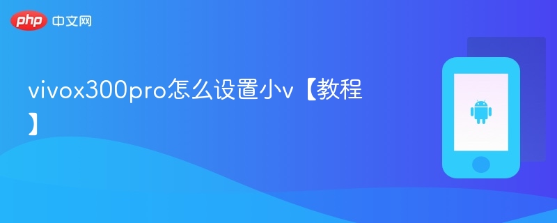 vivox300pro怎么设置小v【教程】  第1张