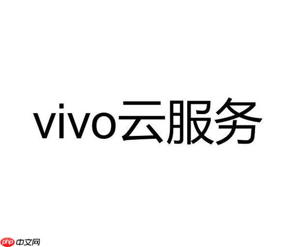 vivo云服务黄金会员有什么用 vivo云服务黄金会员权益是什么  第1张