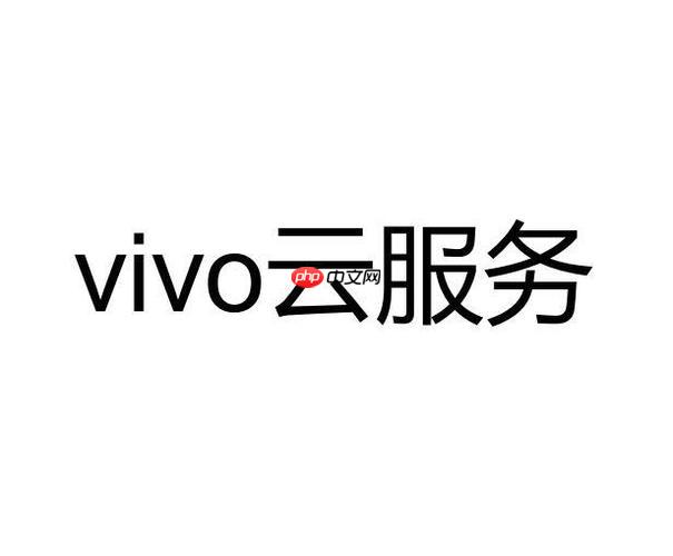 vivo云服务怎么修改密码 如何修改vivo云服务的密码 第1张 vivo云服务怎么修改密码 如何修改vivo云服务的密码 第1张