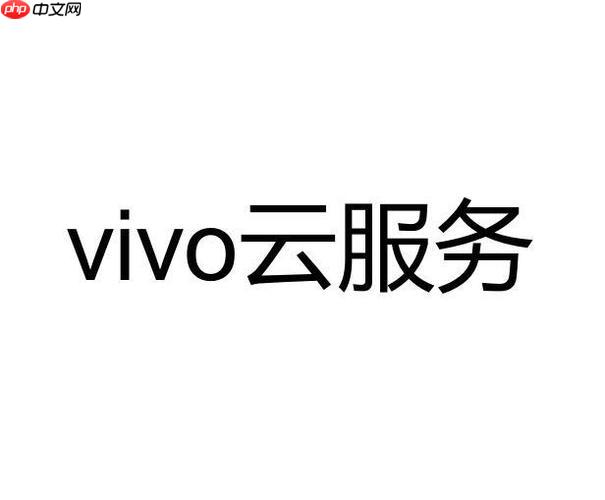 vivo云服务可以跨品牌使用吗 其他品牌手机能用vivo云服务吗  第1张