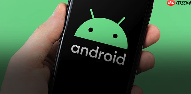 华为Nova12 Pro夜景噪点处理方法_华为Nova12 Pro夜景成像提升  第1张