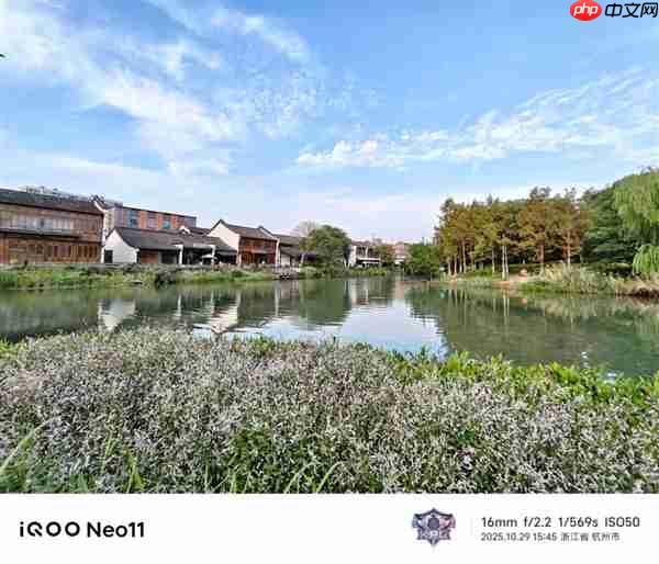 2599买骁龙8至尊版芯片 iQOO还在买芯片送手机  第14张