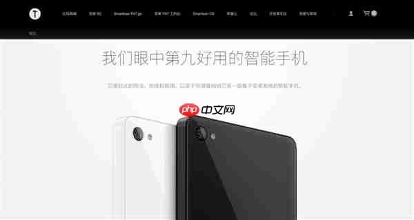 博主发现2025年了锤子官网依然能打开：锤子T1广告语变了  第1张