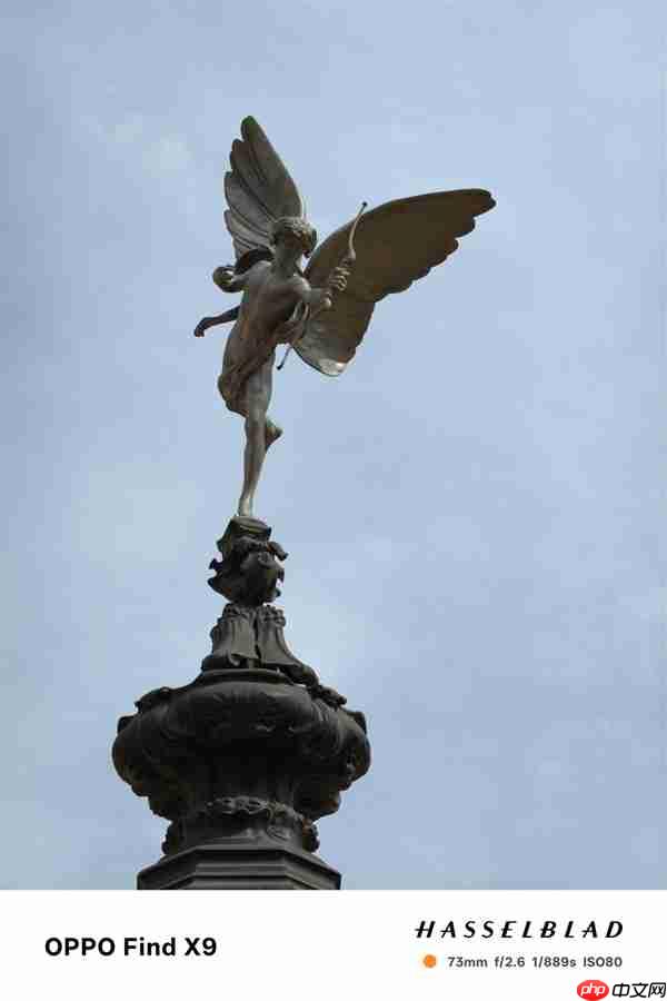 OPPO Find X9影像实测：强得不像标准版  第4张