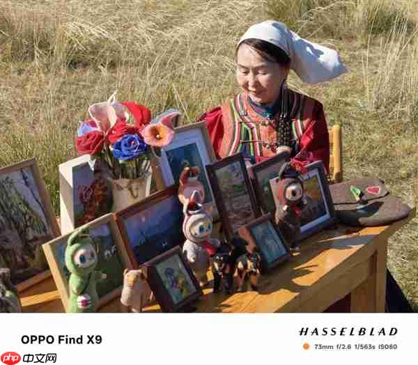 OPPO Find X9影像实测：强得不像标准版  第9张