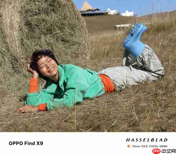 OPPO Find X9影像实测：强得不像标准版  第10张