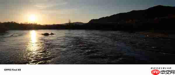 OPPO Find X9影像实测：强得不像标准版  第16张