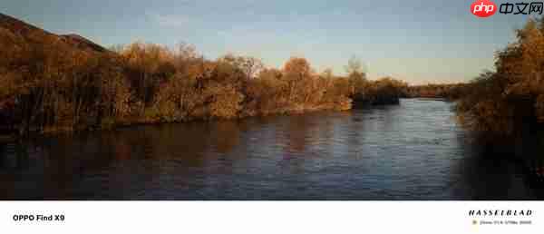 OPPO Find X9影像实测：强得不像标准版  第15张