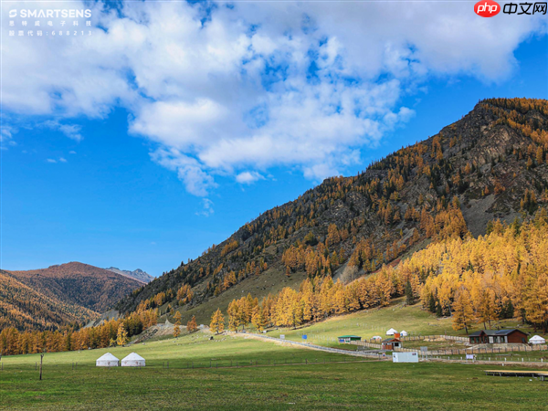 思特威SCC80XS手机CMOS传感器发布：2亿像素、1/1.28英寸  第4张