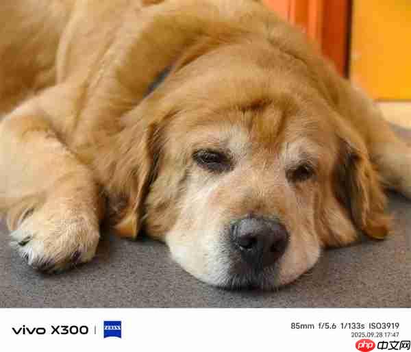 4399元起的vivo X300 能成为今年最强标准版手机吗  第23张