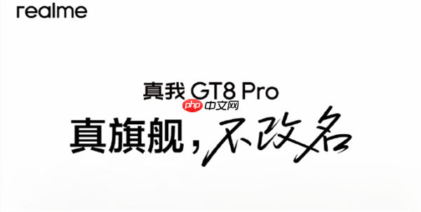 真我GT8Pro官宣四个“2”：立志要成5000元内最强  第1张