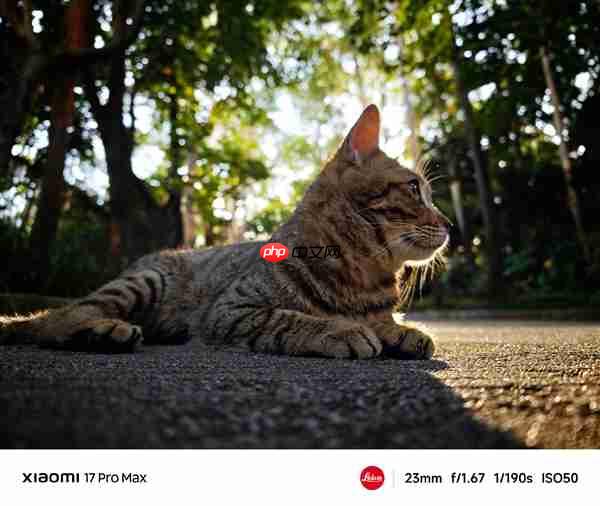 小米17 Pro系列攻克手机逆光摄影难题：搭载第三代高动态技术LOFIC  第5张