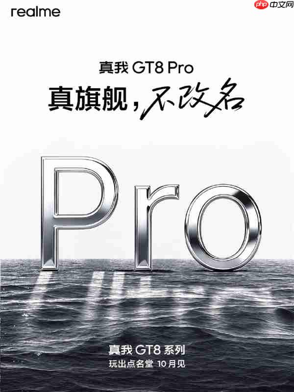 真我GT8 Pro不改名！真我CMO：用产品力说话 而不是用改名发声  第2张