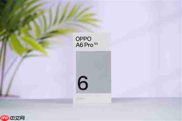 开启手机6年耐用新时代！OPPO A6 Pro图赏  第19张