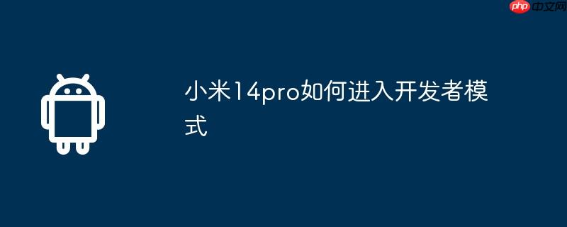 小米14pro如何进入开发者模式  第1张