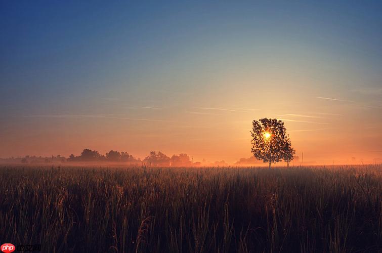 三星手机屏幕锁定无法开机？强制恢复出厂设置步骤  第1张