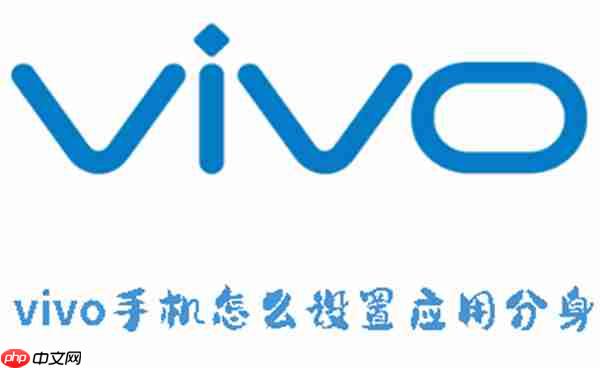 vivo手机怎么设置应用分身  第1张