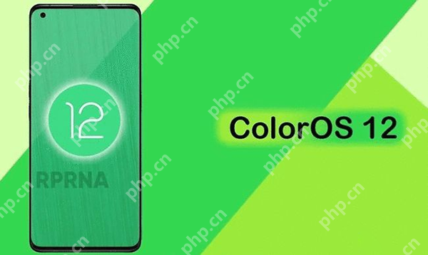 COlorOS12什么时候出  第1张
