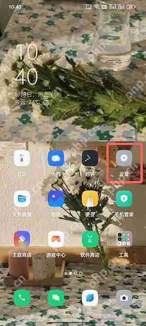 coloros12怎么打开开发者模式  第1张