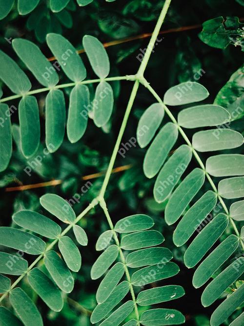 索尼Xperia1VI视频log模式调色  第1张