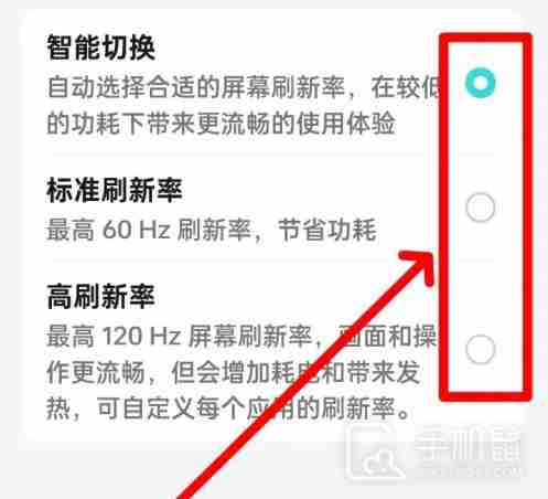 真我Realme GT6如何调整屏幕刷新率？  第3张