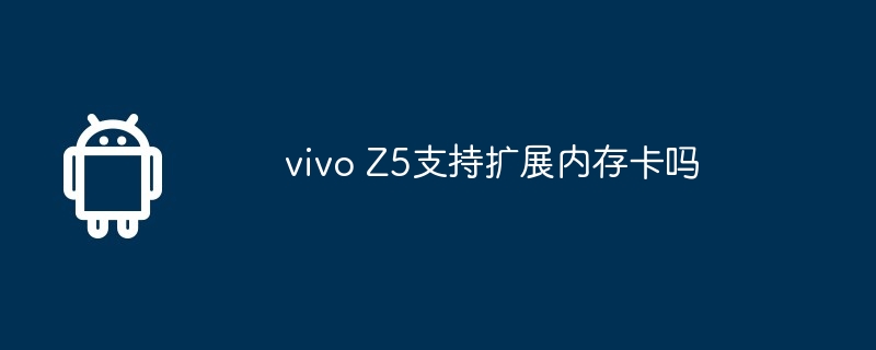 vivo Z5支持扩展内存卡吗  第1张