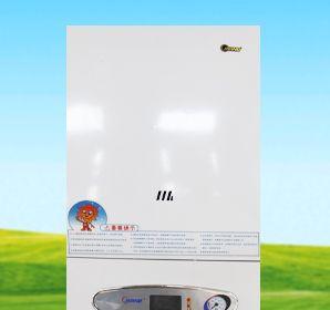 壁挂炉（探索壁挂炉en代码的工作原理和优势）  第3张