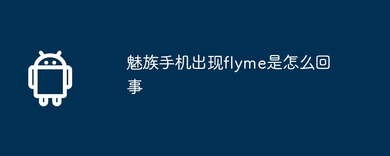 魅族手机出现flyme是怎么回事  第1张