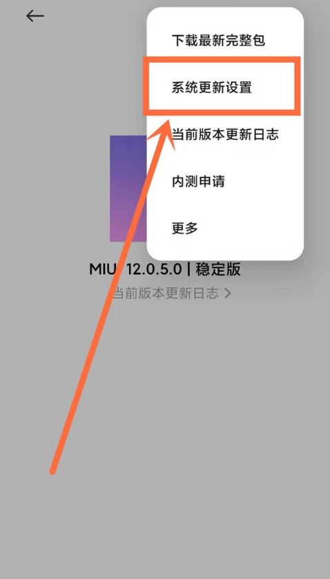 怎么关闭红米note10自动升级系统_红米note10关闭自动升级系统步骤 第4张 怎么关闭红米note10自动升级系统_红米note10关闭自动升级系统步骤 第4张