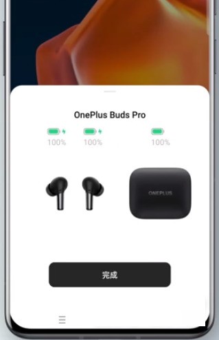 一加budsPro怎么使用_一加budsPro使用说明  第5张