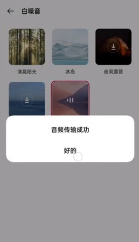 一加budsPro怎么使用_一加budsPro使用说明  第14张