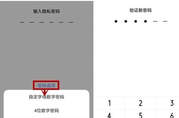 vivo NEX 3s加密应用的操作流程 第2张 vivo NEX 3s加密应用的操作流程 第2张