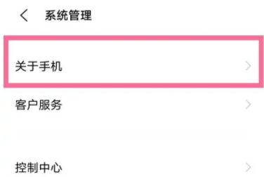 iqooz9怎么打开开发者模式? 第3张 iqooz9怎么打开开发者模式? 第3张