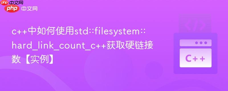 c++中如何使用std::filesystem::hard_link_count_c++获取硬链接数【实例】  第1张