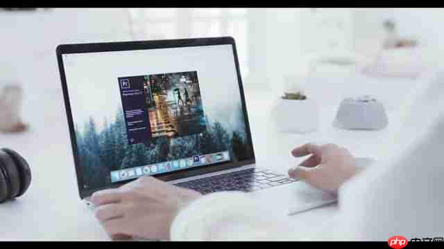 微软 Designer：免费AI图形设计工具终极指南  第5张