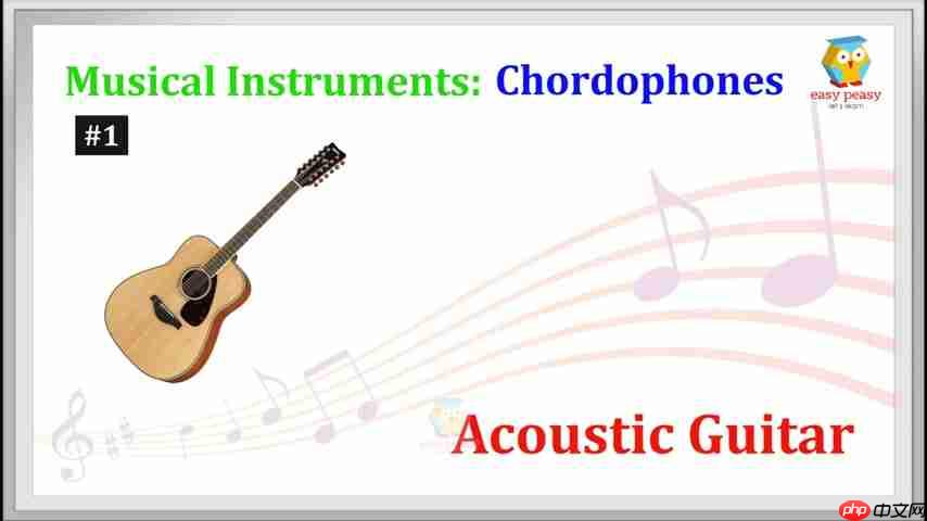 探索乐器世界：从弦乐器到打击乐器，一次性了解！  第1张