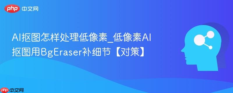 AI抠图怎样处理低像素_低像素AI抠图用BgEraser补细节【对策】  第1张